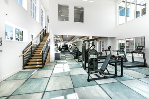 a gym with weights and a staircase in a building with large windows